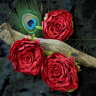 Пионовидная маленькая роза - Пионовидная маленькая роза